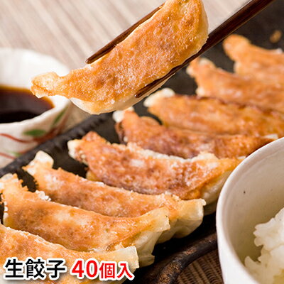 【ふるさと納税】龍華山の白ごはん専門生餃子40個入り　【 惣菜 餃子 生餃子 焼くだけ おかず パリッと焼きあがる皮を使用 販売個数のみを限定生産 焼きたて 】のサムネイル