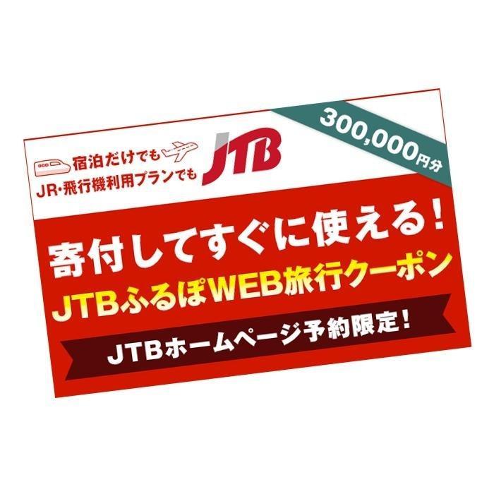【ふるさと納税】【堺市】JTBふるぽWEB旅行クーポン（300,000円分）