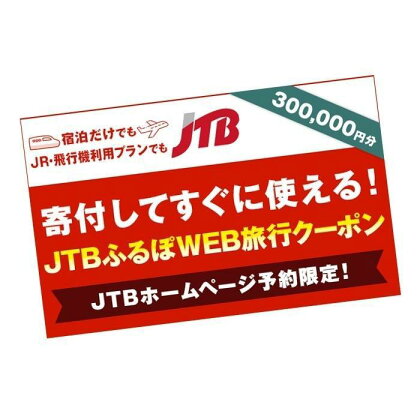 【堺市】JTBふるぽWEB旅行クーポン（300,000円分）