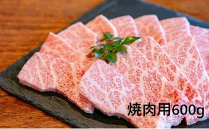 【ふるさと納税】大阪ウメビーフ　焼肉用600g