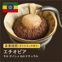 【ふるさと納税】自家焙煎コーヒー!#036 310g モカ ゲイシャ G-3 ナチュラル エチオピア 珈琲(豆または中挽きから選択)