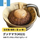 【ふるさと納税】コーヒー #023 グァテマラSHB サンタロッサS17 310g 当日焙煎 大山珈琲 (豆または中挽きから選択) | 珈琲 飲料 コーヒー豆 ソフトドリンク 人気 おすすめ 送料無料