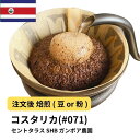 【ふるさと納税】コーヒー #071 コスタリカ セントタラス SHB ガンボア農園 310g 当日焙煎 大山珈琲 (豆または中挽きから選択) | 珈琲 飲料 コーヒー豆 ソフトドリンク 人気 おすすめ 送料無料