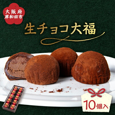 【ふるさと納税】生チョコ大福10個