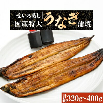 【ふるさと納税】蒸篭(せいろ)蒸し　国産特大うなぎ蒲焼2尾　特製タレ2個【配送不可地域：離島】【1094616】