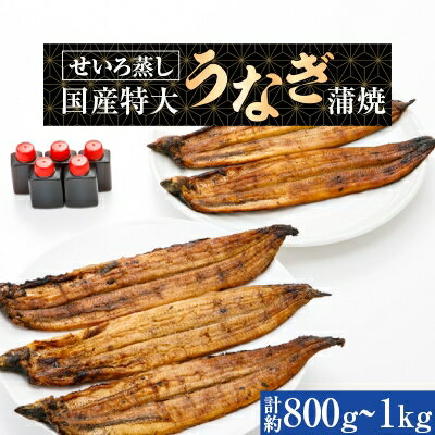 蒸篭(せいろ)蒸し　国産特大うなぎ蒲焼5尾　特製タレ5個【配送不可地域：離島】【1094619】