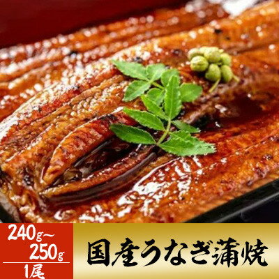 【ふるさと納税】「国産うなぎ蒲焼」1尾(240g～250g)