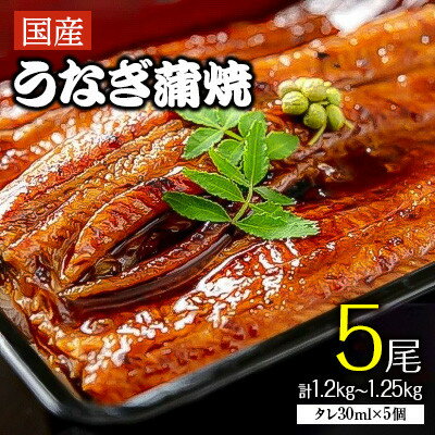 【ふるさと納税】「国産うなぎ蒲焼(特大サイズ)」5尾(1.2kg〜1.25kg)【配送不可地域：離島】【1228660】