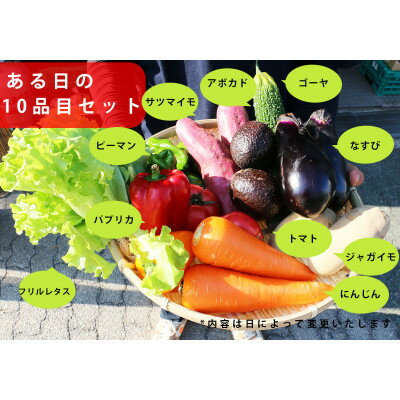 【ふるさと納税】大阪泉州産旬のぎゅうぎゅう野菜セット【配送不可地域：離島】【1377247】