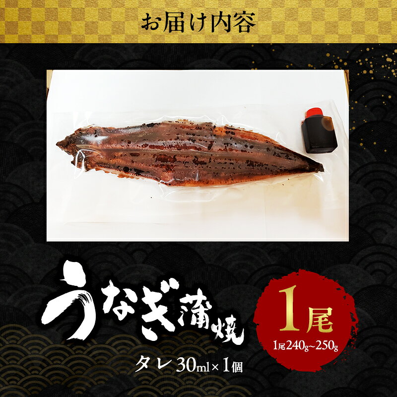 【ふるさと納税】うなぎ 国産 蒲焼き 1尾 2尾 3尾 4尾 5尾 (240g～1.25kg) 詰め合わせ セット うなぎ蒲焼 国産うなぎ 国産うなぎ蒲焼 うなぎの蒲焼 冷凍ウナギ 冷凍食品 冷凍 惣菜 おかず 魚 魚介 魚介類 大阪 岸和田市　お届け：最大で1ヶ月程度かかる場合がございます。 f272027-kishiwada-10003430 大阪府岸和田市 サンプル画像3