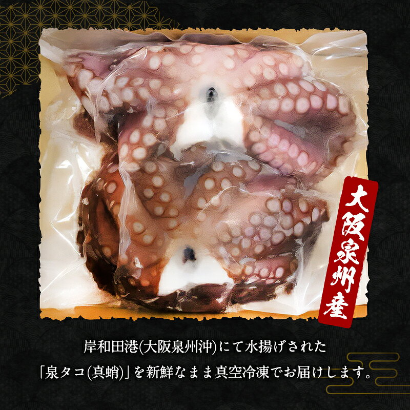【ふるさと納税】たこ 大阪泉州産 泉タコ 650g (1杯～3杯) 詰め合わせ セット 生だこ 真蛸 タコ 冷凍タコ 冷凍 たこぶつ お刺身 たこ焼き たこ飯 海の幸 魚介 魚介類 海鮮 大阪 大阪府 岸和田市　お届け：最大で1ヶ月程度かかる場合がございます。 f272027-kishiwada-10003441 大阪府岸和田市 サンプル画像3
