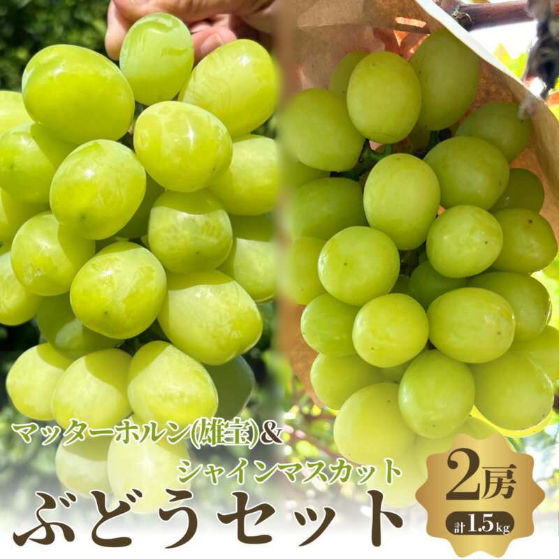 【ふるさと納税】おすすめ感謝 セット ぶどうセット マッターホルン シャインマスカット 翡翠 2房 詰め合わせ 葡萄 ぶどう 食べ比べ フルーツ 果物 季節のフルーツ 季節の果物 旬のフルーツ 旬の果物 大阪 大阪府 岸和田市　お届け：2025年8月下旬～10月上旬までのサムネイル