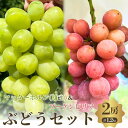 【ふるさと納税】おすすめ感謝セット マッターホルン+ブーゲンビリア 2房セット お届け:2025年9月上旬〜10月上旬まで
