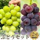 【ふるさと納税】秋本番おすすめ感謝セット マッターホルン+ピオーネ 2房セット お届け:2025年9月上旬〜10月中旬まで