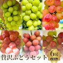 【ふるさと納税】贅沢ぶどうセット4種6房詰め合わせ お届け:2025年9月上旬~10月中旬まで