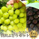 【ふるさと納税】贅沢シャイン品種のぶどうセット 3種6房詰め合わせ お届け:2025年9月中旬〜10月中旬まで