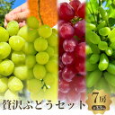 【ふるさと納税】贅沢極旨ぶどうのセット 4種7房詰め合わせ お届け:2025年8月下旬〜9月中旬まで
