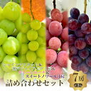 【ふるさと納税】ご家庭用!おすすめ感謝7房セット 3kg詰め合わせ お届け:2025年9月上旬〜10月中旬まで