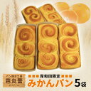 【ふるさと納税】パン焼き工房 芭炎蕾(ばからい)オリジナル 岸和田限定みかんパン5袋セット(冷蔵お届け) お届け:2025年5月上旬~2025年11月10日まで
