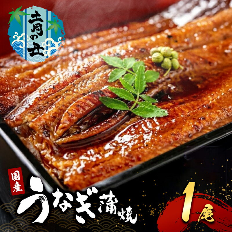 [2025年7月12日より発送]土用の丑の日「国産うなぎ蒲焼」1尾(240g〜250g) お届け:2025年7月12日〜末日まで