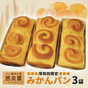 【ふるさと納税】パン焼き工房 芭炎蕾(ばからい)オリジナル 岸和田限定みかんパン3袋セット(常温お届け) お届け:2025年11月中旬〜2026年4月下旬まで
