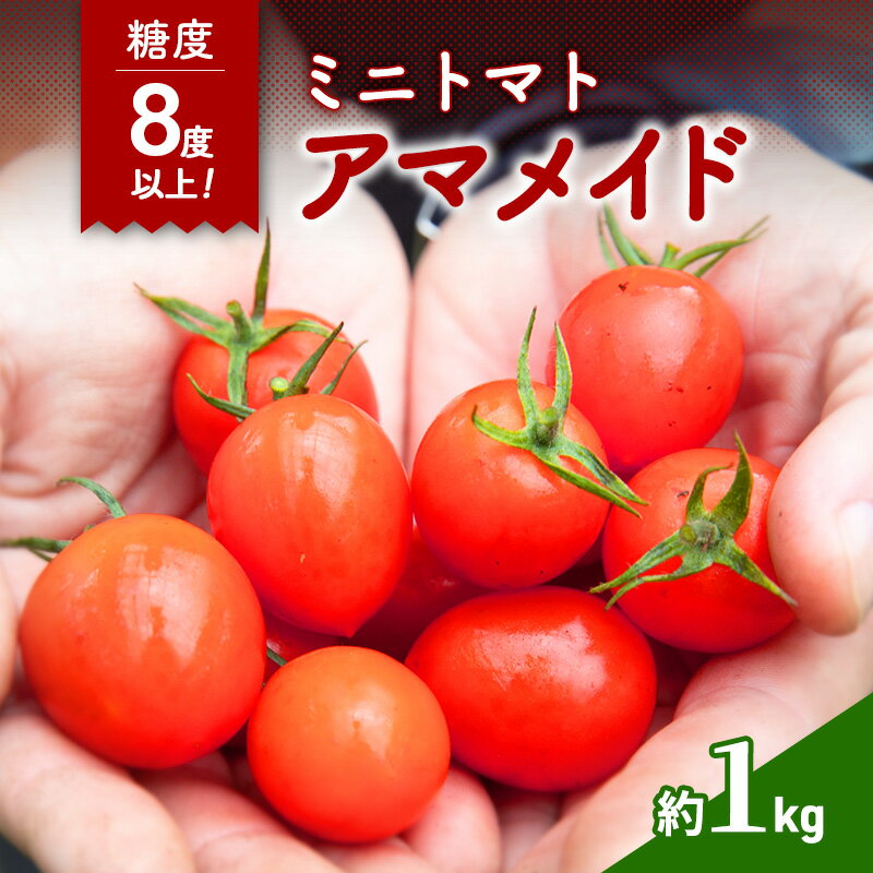 [2025年10月〜順次出荷]ミニトマト1kg アマメイド糖度8度以上 高リピート率野菜 お届け:2025年10月20日〜2026年7月20日まで