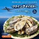 【ふるさと納税】加熱用 生牡蠣殻つき 2kg (約22個~36個)調理方法付き フライングオイスター牡蠣 春木牡蠣養殖共同事業 岸和田市 お届け:2026年2月上旬~4月中旬※自然による貝毒等により配送終了期間が早まる場合があります。