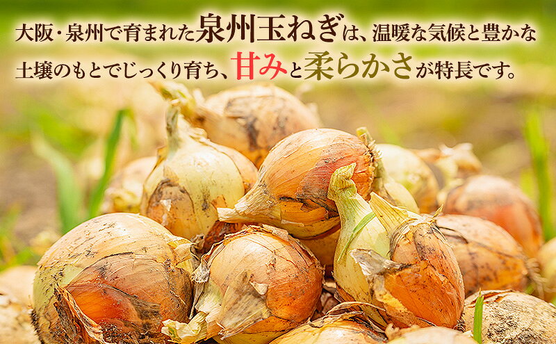 【ふるさと納税】玉ねぎ10kg 野菜 玉葱 たまねぎ 泉州玉ねぎ 旬 旬の味覚 サラダ 料理 岸和田 岸和田市　お届け：2026年7月上旬～2026年8月上旬まで