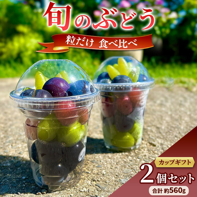 旬のぶどう 粒だけ 食べ比べ カップギフト 2個セット 約280g×2カップ 約560g 先行予約 産地直送 国産 ギフト 葡萄 ぶどう フルーツ 果物 数量限定 送料無料 人気 くだもの 期間限定 お届け:2026年8月中旬〜2026年10月中旬まで