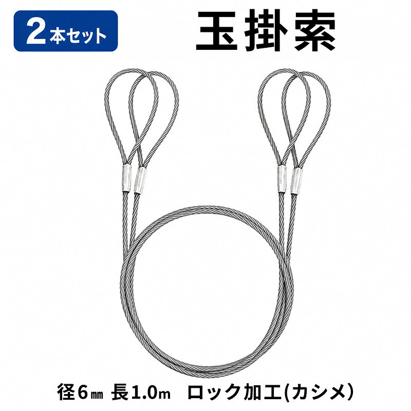 玉掛索 径6mm 長1.0m ロック加工(カシメ）2本セット 両アイ JIS規格 鉛止め 玉掛け 台付け ワイヤーロープ クレーン スリング 大阪 大阪府 岸和田市