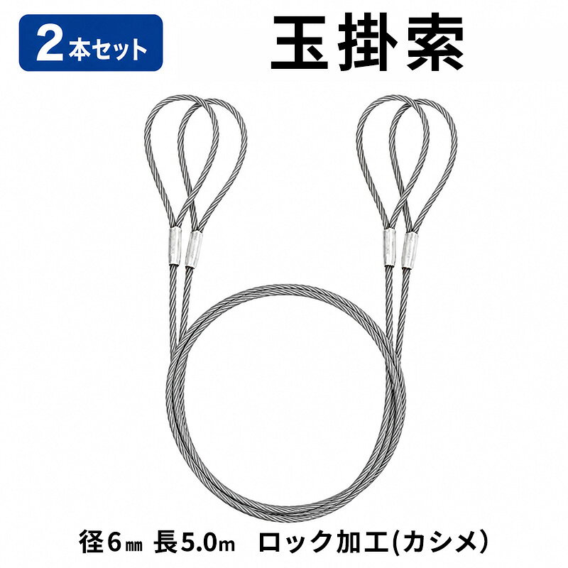玉掛索 径6mm 長5.0m ロック加工(カシメ）2本セット 両アイ JIS規格 鉛止め 玉掛け 台付け ワイヤーロープ クレーン スリング 大阪 大阪府 岸和田市