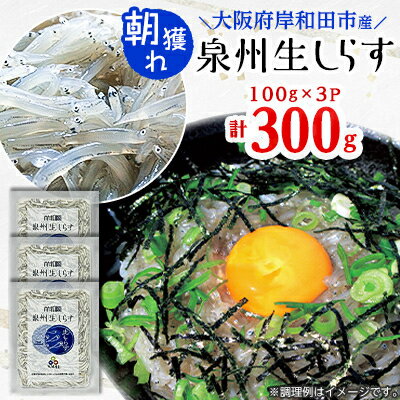 【ふるさと納税】大阪岸和田市産　【鮮度にこだわりました!】泉州生しらす　100g×3パック【配送不可地域：離島】【1122061】