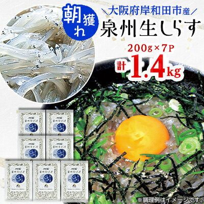 5位! 口コミ数「0件」評価「0」大阪岸和田市産　【鮮度にこだわりました!】泉州生しらす　200g×7パック【配送不可地域：離島】【1130851】