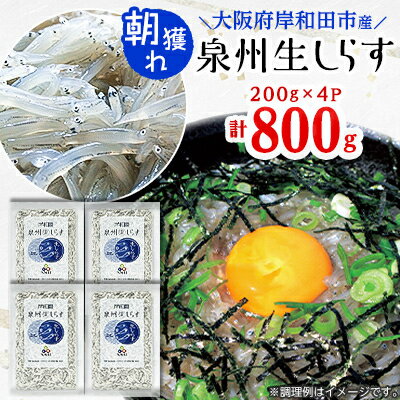 10位! 口コミ数「0件」評価「0」大阪岸和田市産　【鮮度にこだわりました!】泉州生しらす　200g×4パック【配送不可地域：離島】【1130850】