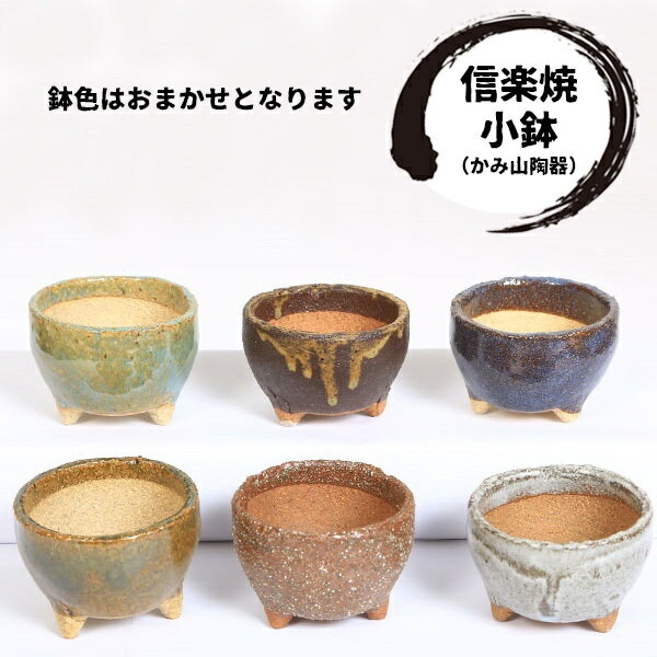 大阪府池田市の画像3