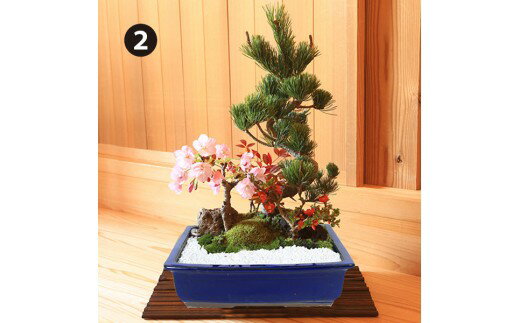 【ふるさと納税】養庄園 季節の寄せ植え盆栽