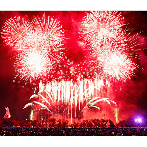 【ふるさと納税】第5回 万博夜空がアートになる日 花火鑑賞チケット パノラマシート ペアチケット（大人2名様分） f272043-ikeda-10000324 大阪府池田市 サンプル画像3