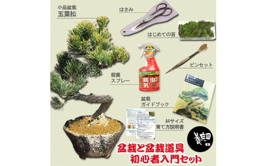 養庄園 盆栽と盆栽道具 初心者入門セット