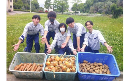 【ふるさと納税】 園芸高校発 災害備蓄食 「カレーリゾット」6食セット
