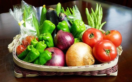 岩崎正光園 季節の野菜詰め合わせ(冬)