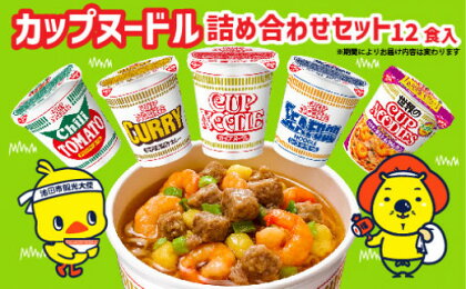 「インスタントラーメン発祥の地・大阪池田」お手頃ハーフサイズセット