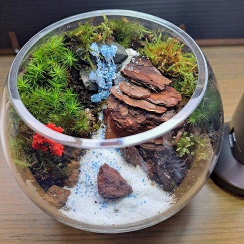 大阪府池田市の画像2