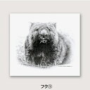 【ふるさと納税】ウォンバット 鉛筆画 レプリカ(フク)
