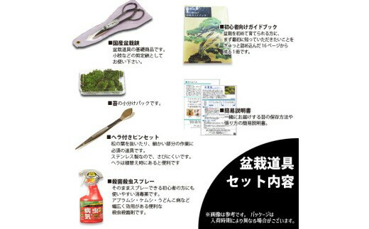 【ふるさと納税】養庄園 盆栽と盆栽道具 初心者入門セット