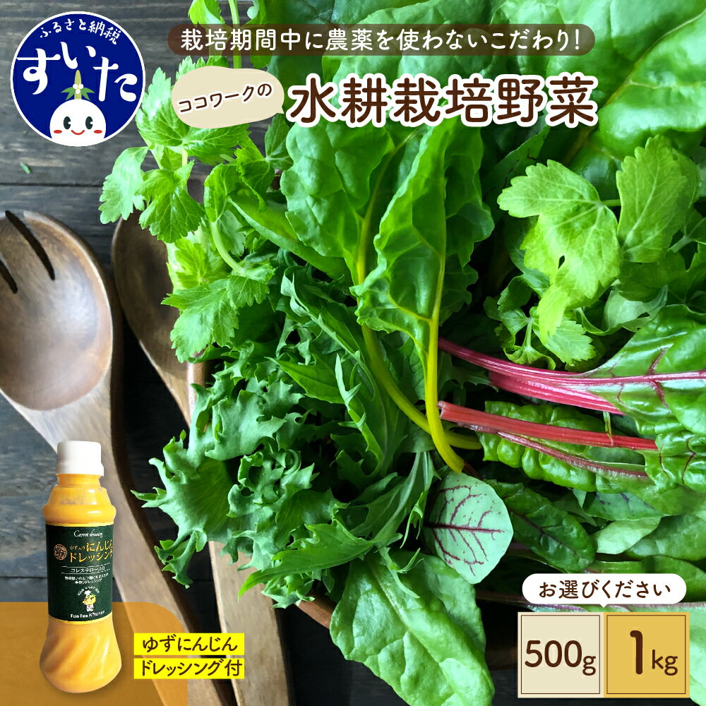 12位! 口コミ数「0件」評価「0」【内容量が選べる】ココワーク の 水耕栽培 野菜 500g 1kg ゆず にんじん ドレッシング 付 農薬不使用 さっと洗うだけ 食べやすい･･･ 