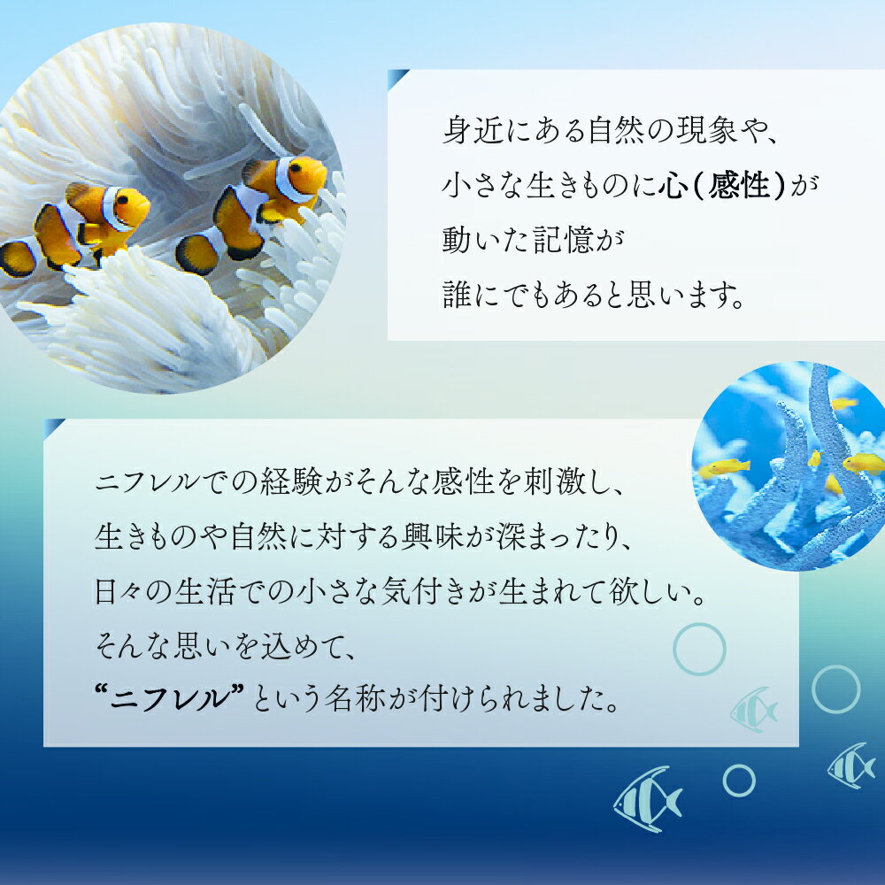 【ふるさと納税】ニフレル 入館券 選べる ペア...の紹介画像3