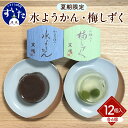 【ふるさと納税】水羊羹・梅しずく 詰合せ 12個入 スイーツ お菓子 和菓子 和スイーツ 水ようかん ゼリー お中元 暑中見舞い 贈り物 ギフト 夏限定 冷菓 ...