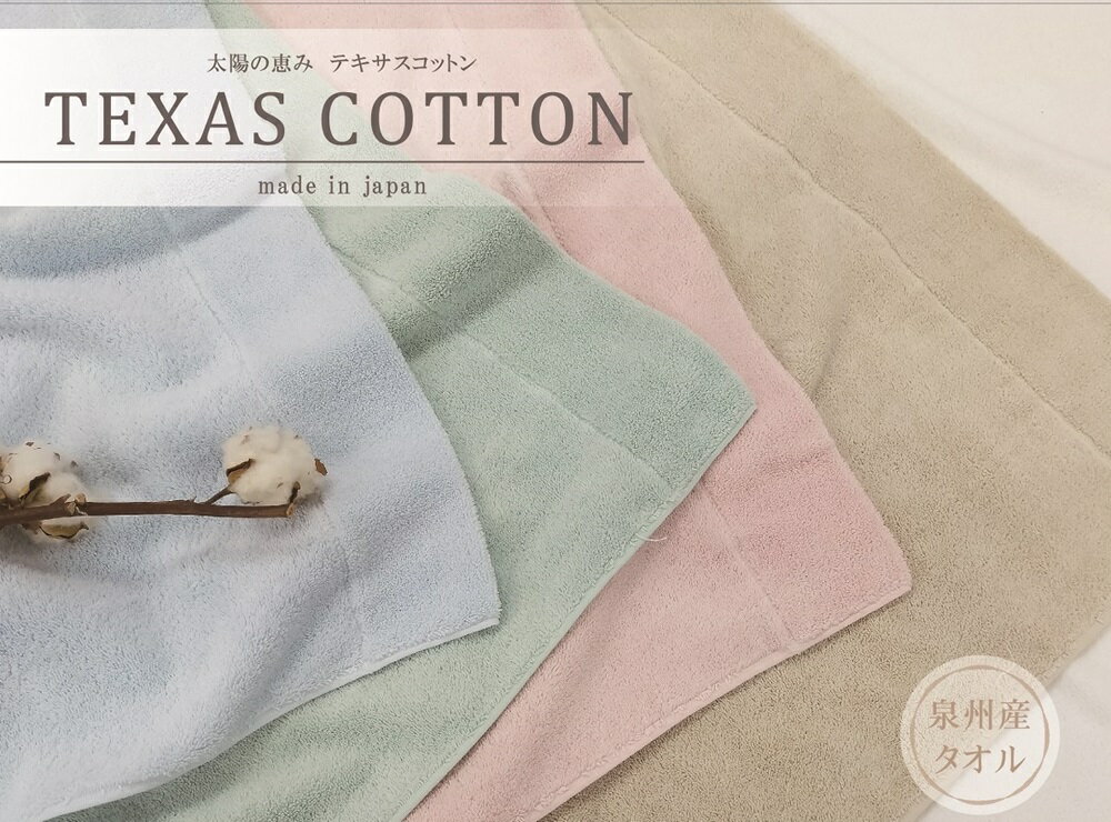 【ふるさと納税】TEXSAS COTTON 100% タオルケット シングル ホワイト 1枚 SNT-20TXWH｜綿100% 厚手 毛布 速乾 軽量 快眠 快適 熟睡 睡眠 洗える 洗濯可能 丸洗い可能 [3227]