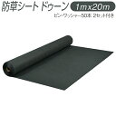 【ふるさと納税】防草シート ドゥーン 1m x 20m ピン・ワッシャー50本 2セット付き ※配送不可地域あり