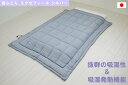 【ふるさと納税】オールシーズン 掛ふとん エクセフィール(SL) シルバー 150x210cm シングルゆったりサイズ|快眠 快適 熟睡 寝具 ベッド 新生活 ...